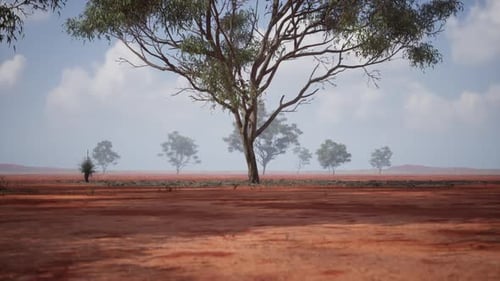 Tranquil African Savanna Landscape with Scattered Trees Under a Clear Sky