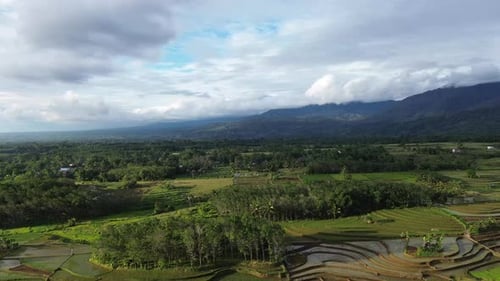 Wunderschöner Blick auf den Morgen, Indonesien, Panoramalandschaft, Reisfelder mit Schönheit, Farbe und natürlichem Himmel.