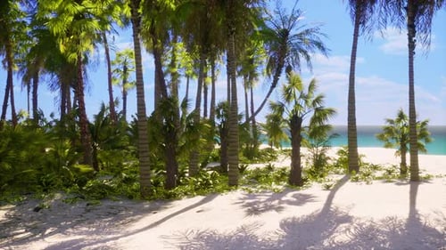 Tropical Beach with Coconut Palm Tree