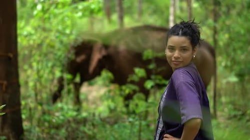 Woman Observes Elephant in Tropical Green Forest