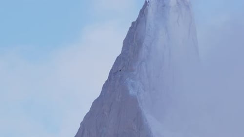 Andean Condor flying over the Andes Mountains in Southern Patagonia with vertical wall behind near F
