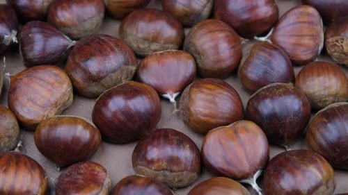chestnuts background