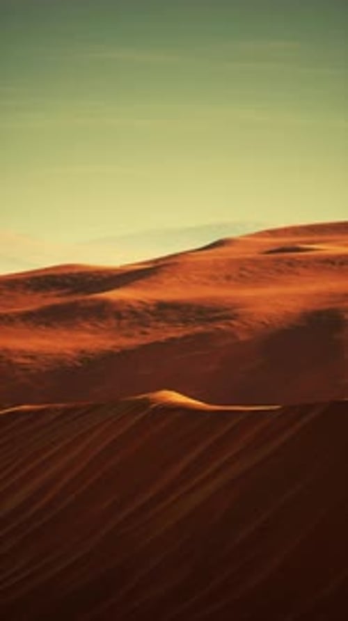 Lone Tree Amid Desert Landscape