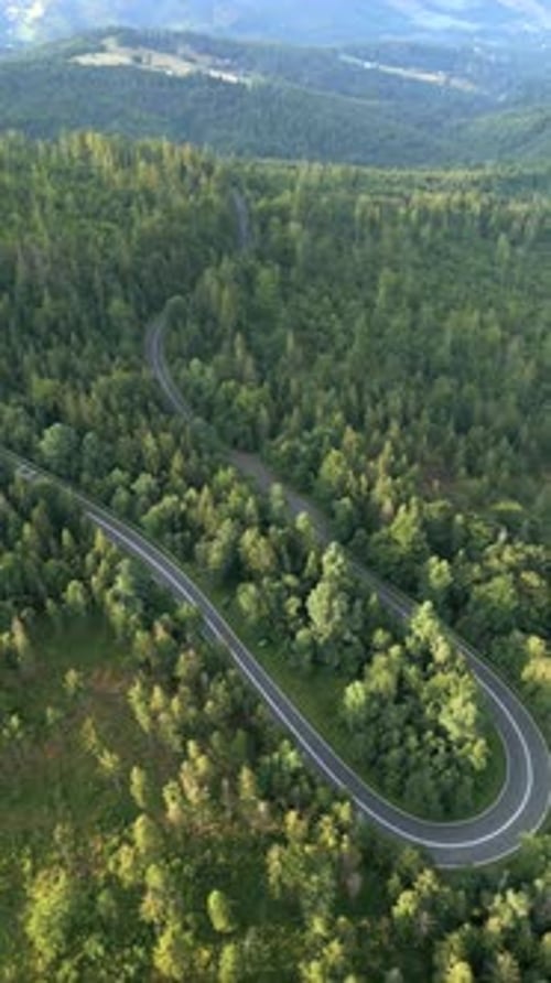 Winding Mountain Road in Summer