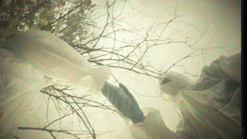 Retro VHS Tape Film Process of Taking Water Analysis From Swamp Using Flask and Pipette Wearing