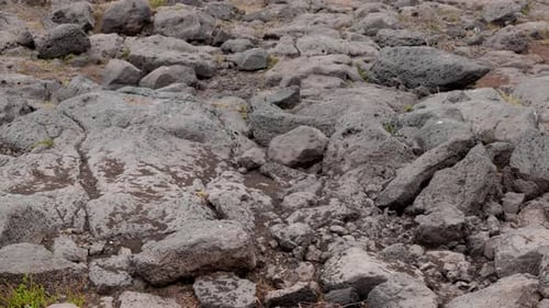 tilting shot of the arid parched ground where there was once water in the river before global warmin