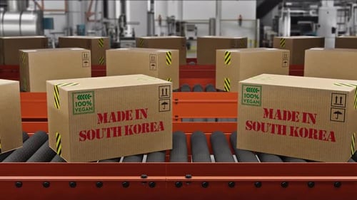 Vegan Food Cargo Boxes Made In South Korea Text On Roller Conveyor