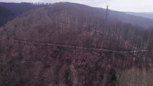 Flying Towards Forest Mountain With Trees Having Leafless Branches During Winter. Aerial Drone Shot