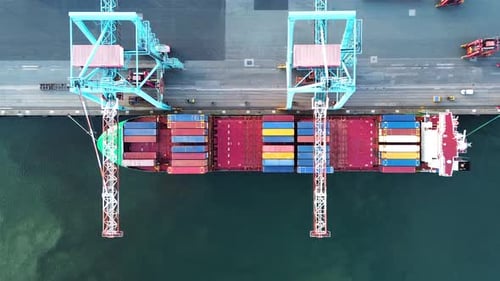 Container port cargo vessel in export import business logistics. Loading by crane in habour and sea