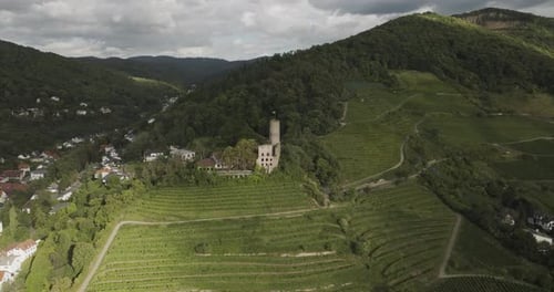 Aerial view of Strahlenburg castle, Germany.