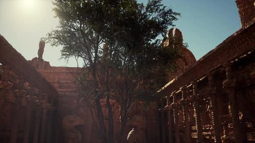 Sun Shines Through Trees in Courtyard