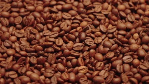 Close Up of Freshly Roasted Coffee Beans