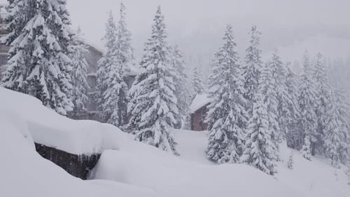 Snowcovered Cabins in a Winter Forest