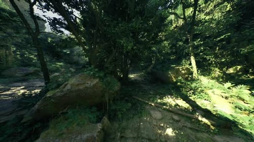 Vivid Green Gorge Featuring Mosscovered Cliffs and Trickling Water Sounds