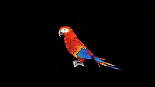 Colorful Animated Parrot Looking Around