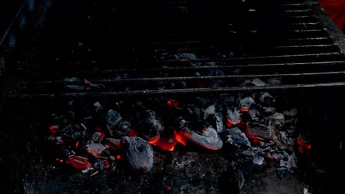 Pieces of juicy chicken fillet fried on burning charcoal on grill grate turning.