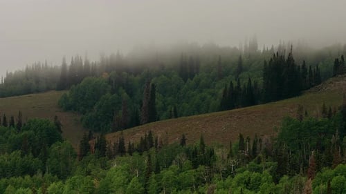 Misty Mountains Over Deciduous Tree Forest During Sunrise. Timelapse