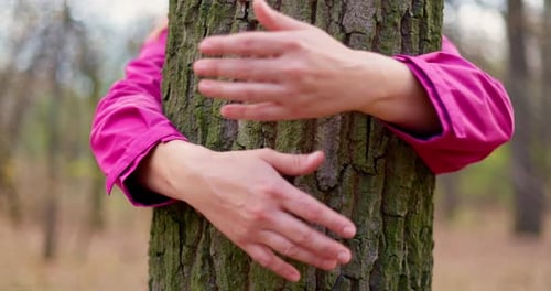 Woman's Hands Hugging Tree Trunk in Forest Environmental Protection