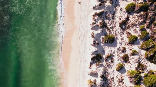 Aerial View of Sandy Beach and Ocean