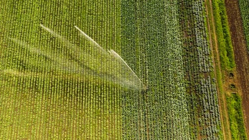 Irrigation System on Agricultural Land
