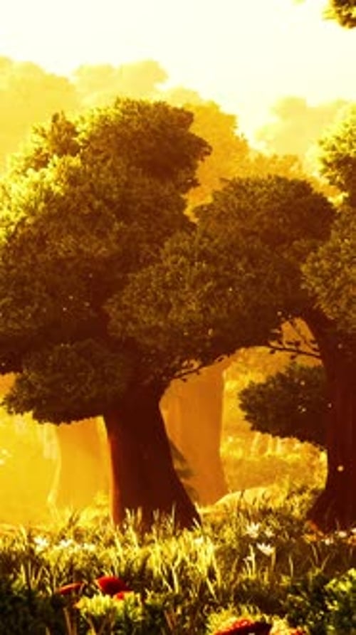 Cartoon Wooded Forest Trees Backlit By Golden Sunlight