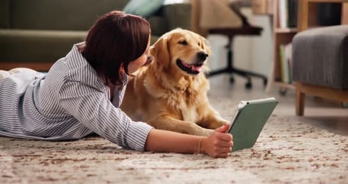 Woman Pets Golden Retriever while Using Tablet Indoors