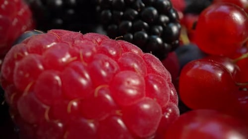 Assorted Fresh Berries Close Up