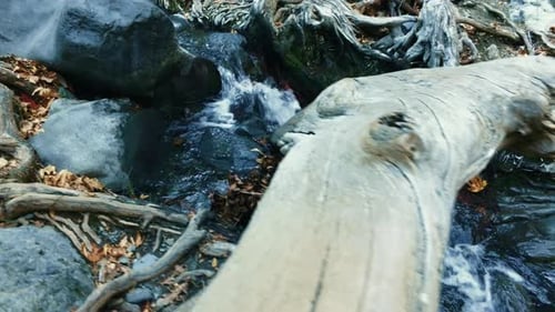 Mountain Creek With Clear Water In Autumn Nature Reserve. Fresh Spring Water Flowing In Summer Pa...