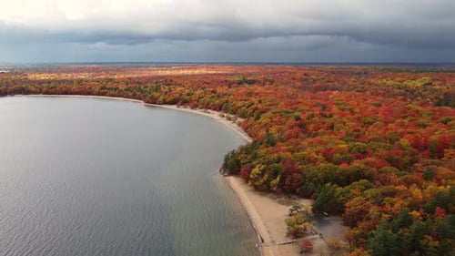 Aerial landscape view over a coastline covered in a colorful autumnal forest, with yellow, red and o