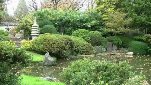 Japanese garden and pond in autumn.