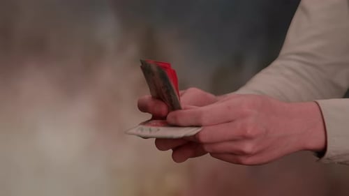 Hands Counting Swiss Francs Paper Money