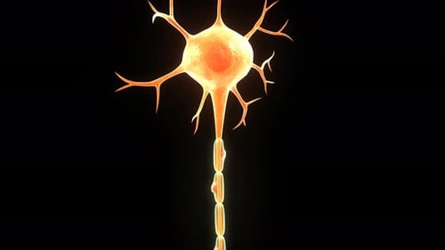 Glowing nerve cell isolated on black background