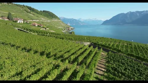 View Of Lake Geneva