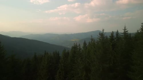 Flying Over Green Forest at Sunny Summer Day with the Mountains on Horizon with Glowing Clouds