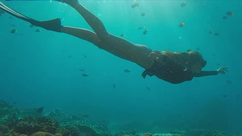 Woman Freediver Enjoys Swimming on the Reef Young Female Freediver Swims Underwater and Explores the