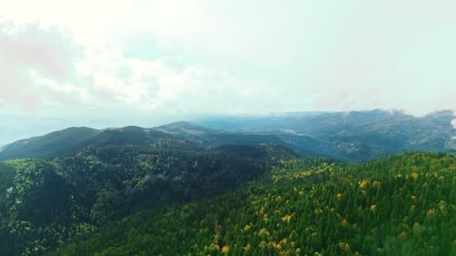 Partly Cloudy Autumn Forest Landscape