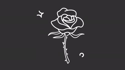 Rose flower floral bloom nature drawing