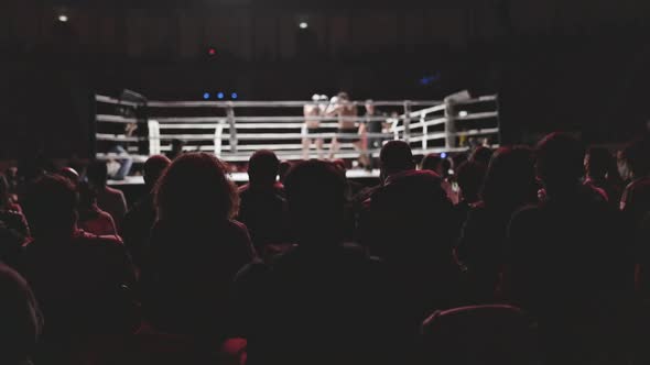 Audience Watching Boxers Fighting in a Boxing Match, Sports Stock ...