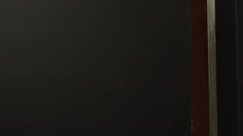 Dog Waits in Elevator with Owner