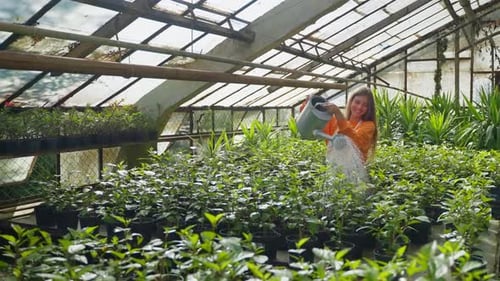 Young Smiling Woman Farm Worker Pours Plants in Greenhouse Uses Watering Can