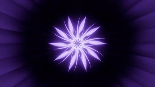 Shiny Flower-Animationshintergrund, 4 K, VJ Loop, Hypnotic Motion, Violett