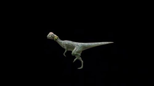 Dinosaur Dilophosaurus Walk Loop