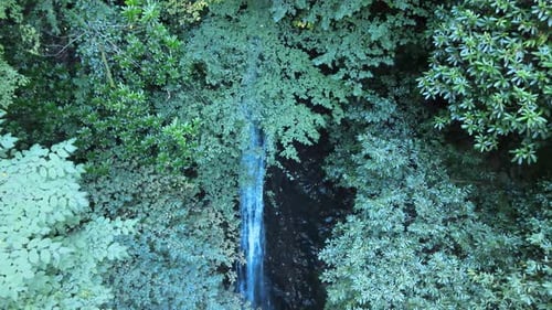 Aerial View of Waterfall Cascading Through Green Forest