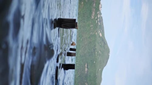 Vídeo vertical