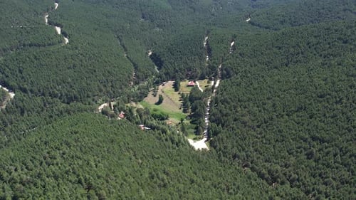 Forest And Forest Park With Aerial Shot