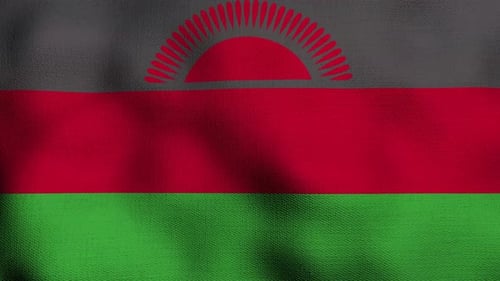 Waving Malawi National Flag Animated Background Loop