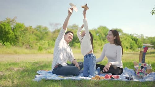 Family Picnic in a Sunny Meadow with Toys