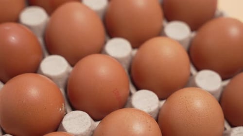 Faites dorer les œufs dans une boîte en carton.