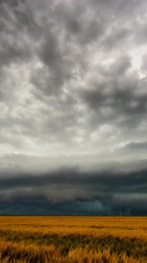 Ominous Storm Clouds Over Golden Wheat Field