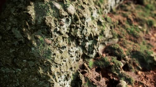 Close Up of Rocky Stones Formation